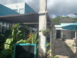 Back garden  at Mangata in Puerto Morelos