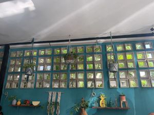 Cute wall at Mangata in Puerto Morelos