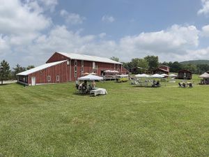 Pignic 2023  at Farm Sanctuary in Watkins Glen