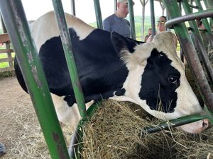   at Farm Sanctuary in Watkins Glen