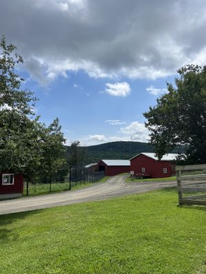   at Farm Sanctuary in Watkins Glen