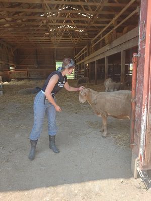  at Farm Sanctuary in Watkins Glen