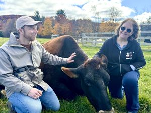 Norman was so kind and his fur was so soft!   at Farm Sanctuary in Watkins Glen