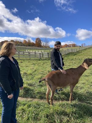 Halbert was incredibly extroverted and warmed both my parents hearts.   at Farm Sanctuary in Watkins Glen