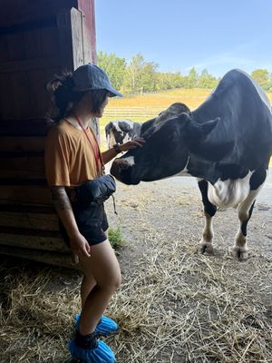   at Farm Sanctuary in Watkins Glen