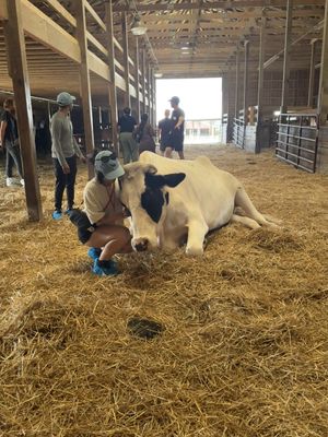  at Farm Sanctuary in Watkins Glen