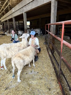   at Farm Sanctuary in Watkins Glen