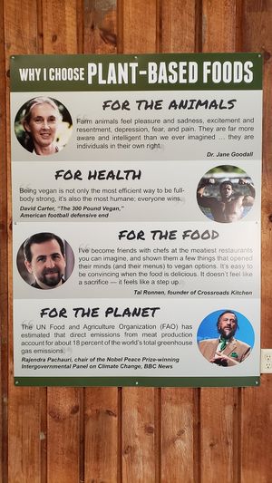 Education at Farm Sanctuary in Watkins Glen