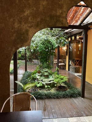 garden at Currys Coffee & Tea in Blumenau