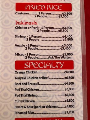 Vegan Yakimeshi at Hot Wok in Playas Del Coco