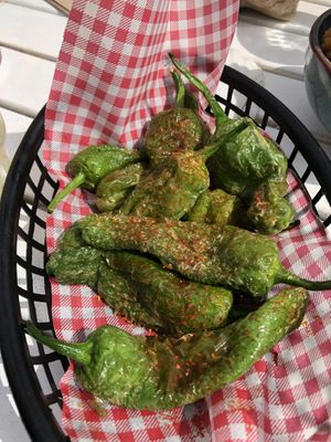   at Pele Surf Shack in Hook Of Holland