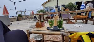  at Pele Surf Shack in Hook Of Holland