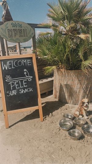 Entrance - dog friendly😄 at Pele Surf Shack in Hook Of Holland