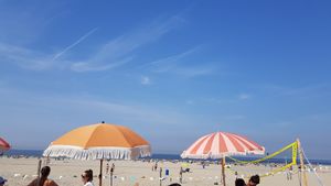  at Pele Surf Shack in Hook Of Holland