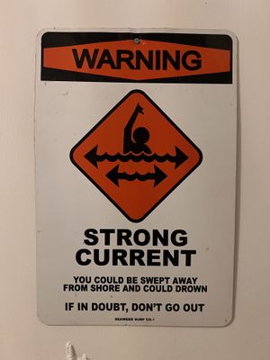   at Pele Surf Shack in Hook Of Holland