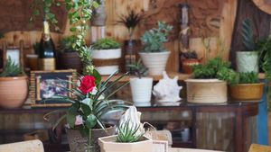 interior at Pele Surf Shack in Hook Of Holland