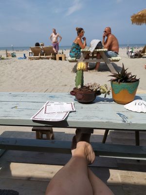 View at Pele Surf Shack in Hook Of Holland