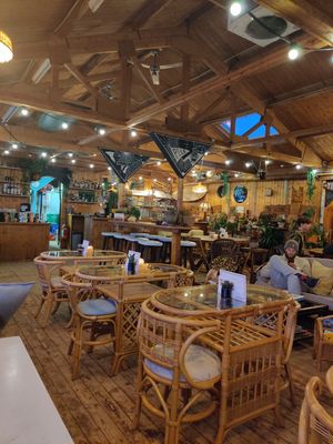 Inside at Pele Surf Shack in Hook Of Holland