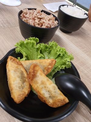 Fried goyza at Greendot - Orchard in Central Singapore