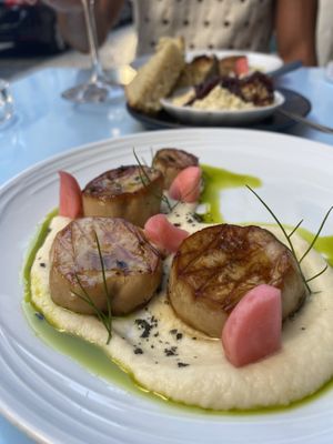 Scallops  at O Gambuzino in Lisbon