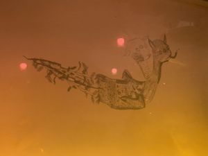 Lil drawing on the wall   at O Gambuzino in Lisbon