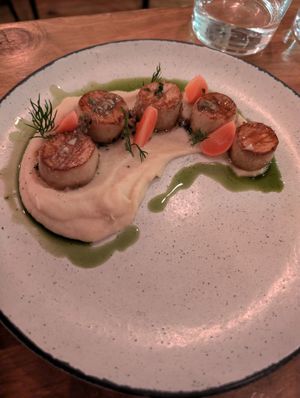 Scallops starter at O Gambuzino in Lisbon