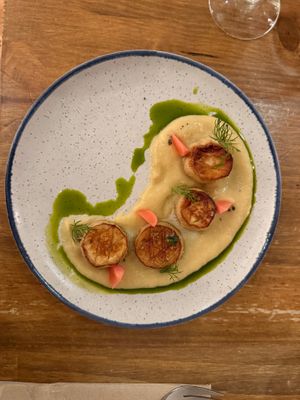 'Scallops' at O Gambuzino in Lisbon