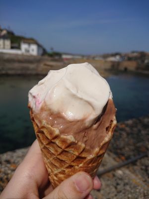 Raspberry and vanilla vegan ice cream on top, chocolate vegan ice cream on bottom. at Nauti But Ice in Porthleven