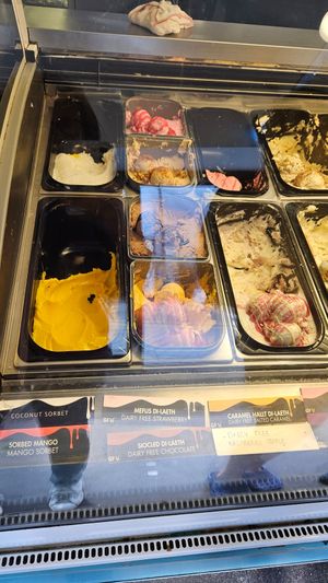 Good choice of vegan ice-cream at Cadwaladers in Tenby