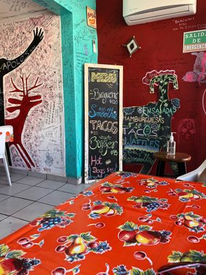 Inexpensive healthy vegan food.  at Waicura in Loreto