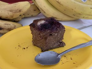 Brownie  at Waicura in Loreto