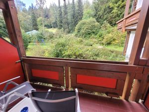 View from room ("Bio Zimmer") at Holzschuh's Schwarzwaldhotel in Baiersbronn