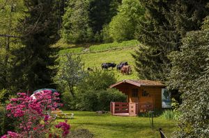 Back of the house with sunbathing lawn at Holzschuh's Schwarzwaldhotel in Baiersbronn