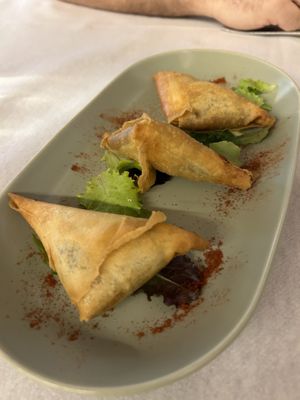   at Africa Due in Parma