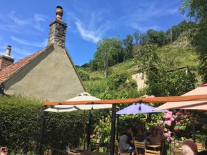 Garden Terrace at Lion Rock Tea Rooms in Cheddar