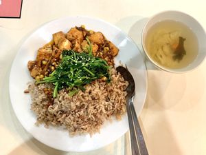 Toufu and brown rice at Create Healthy Lifestyle 創意素食 in Central Singapore