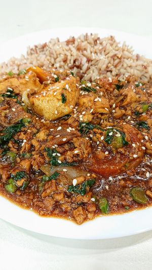 spicy tofu, eggplant, and minced pork brown rice at Create Healthy Lifestyle 創意素食 in Central Singapore