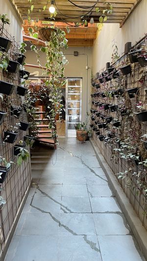   at Hera Veggie in Sao Paulo