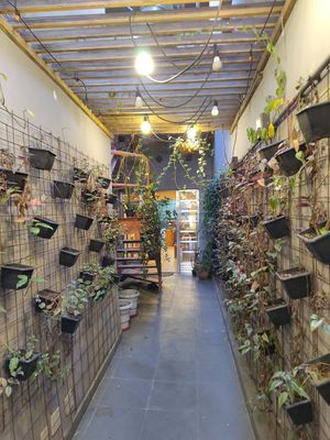  at Hera Veggie in Sao Paulo