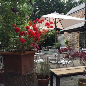 Beautiful sunny garden 😎 at Osbornes @ 68 in York