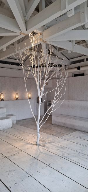  at Walden Woods in Kyoto