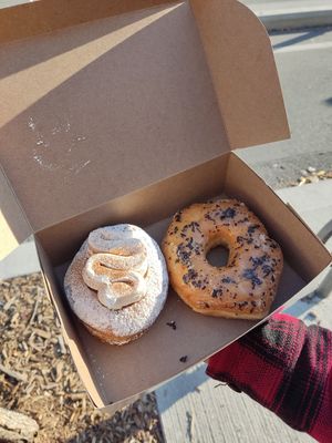 Pumpkin and London at Machino Donuts - Bloor St in Toronto