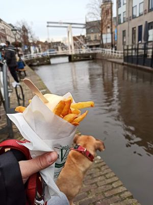  at De Vlaminck in Alkmaar