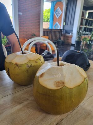 fresh coconuts (with plastic straws) at Urban Jungle in Ubud