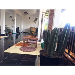 Upstairs seating area and the kitchen- view over central Ubud with sunset at Urban Jungle in Ubud