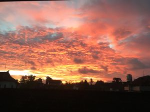 Amazin sunset view from our 2nd floor

Follow us on @urbanjunglebali on instagram and facebook  at Urban Jungle in Ubud