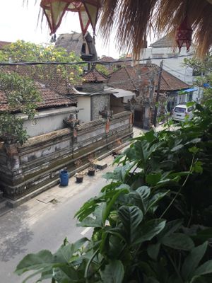 View  at Urban Jungle in Ubud