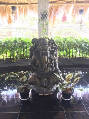 Inside  at Urban Jungle in Ubud