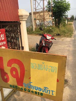   at Watjanee in Chiang Mai