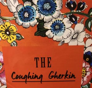 A rare vegan option in Armidale  at The Coughing Gherkin in Armidale